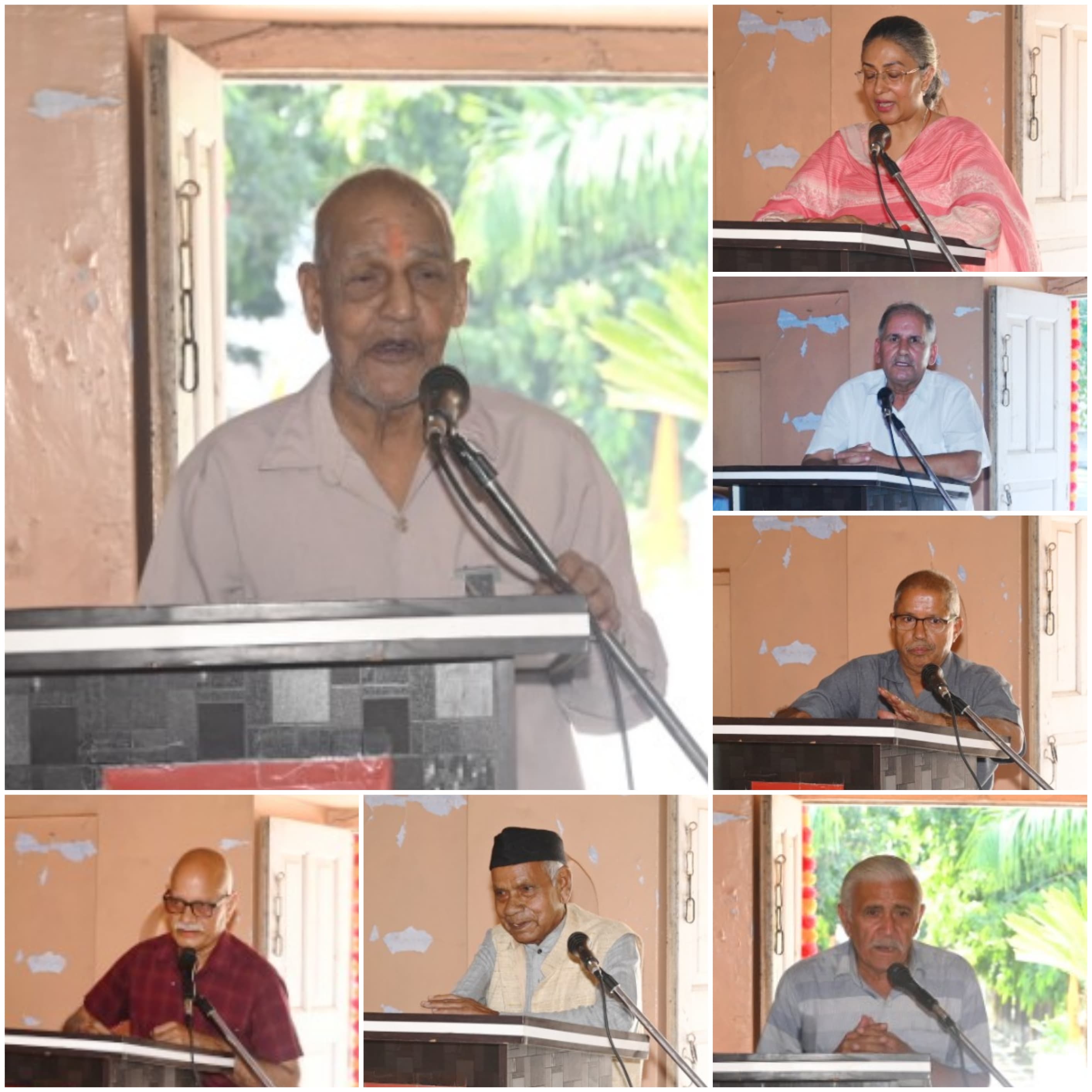 Northern Saw-Whet Owl